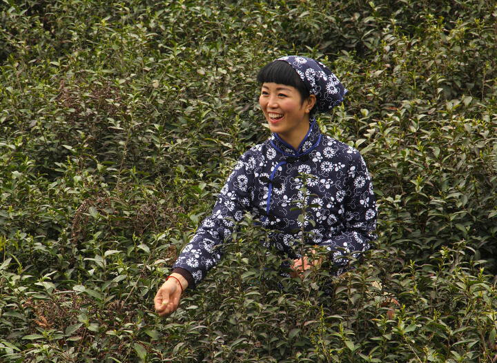 霓虹暗号